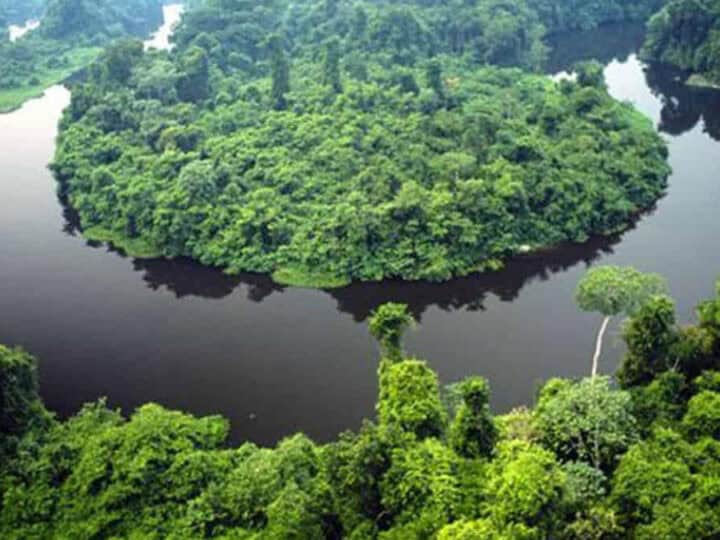 Novo Horizonte do Norte 2026 abre 19 vagas