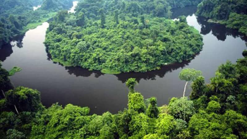 Novo Horizonte do Norte 2026 abre 19 vagas