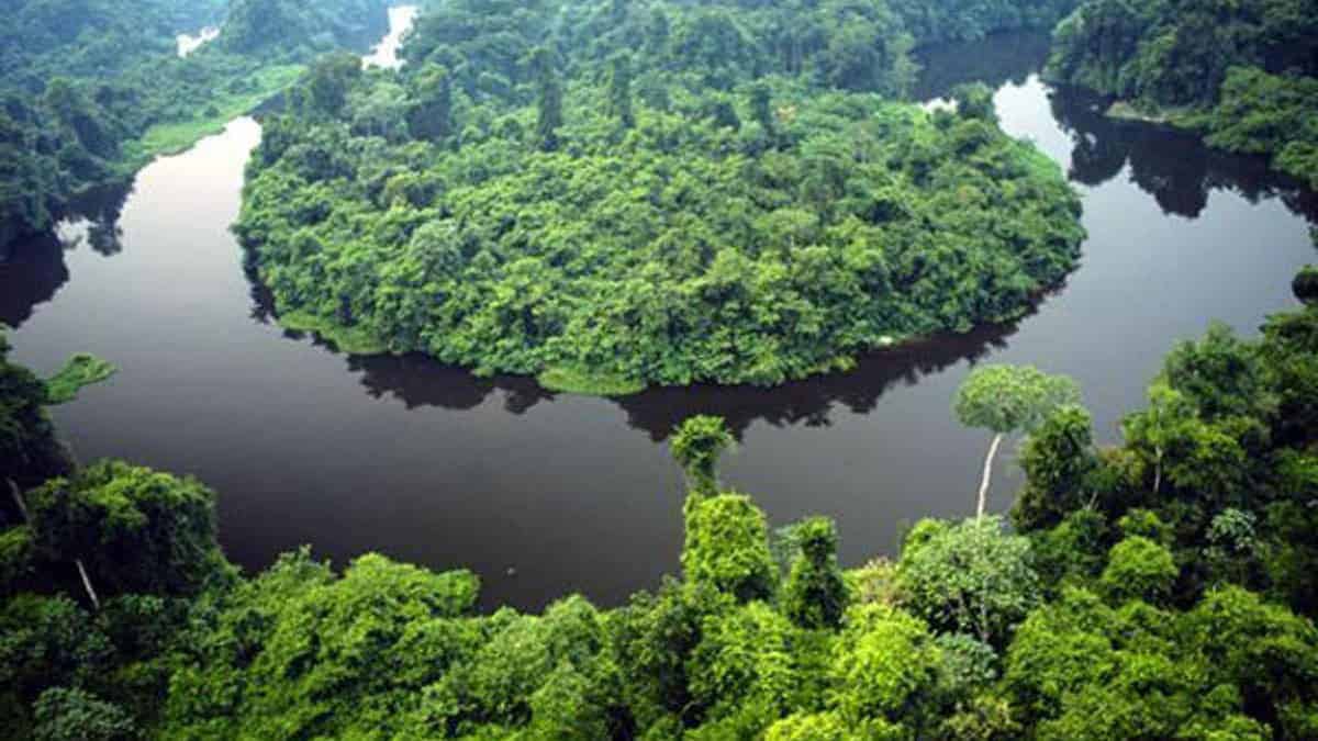 Novo Horizonte do Norte 2026 abre 19 vagas
