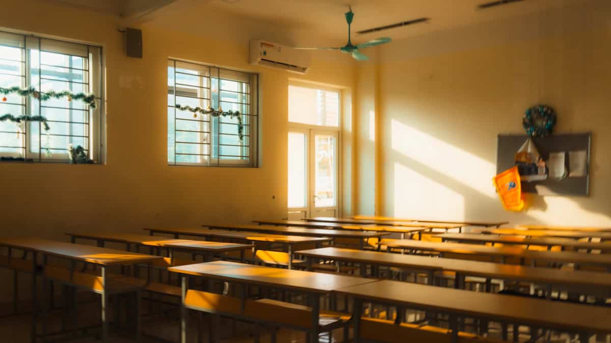 Processo seletivo Canitar SP 2026 abre cadastro na Educação