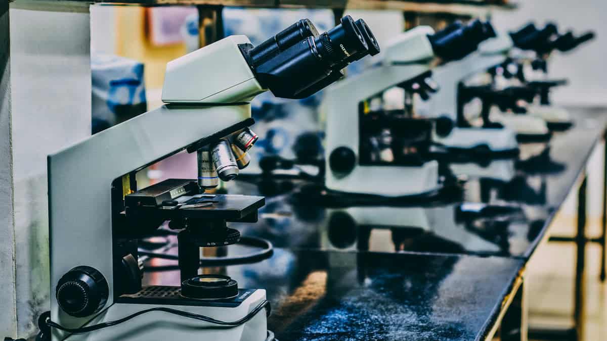 Processo seletivo UFU Zoologia 2026 abre vaga de até R$ 8,3 mil