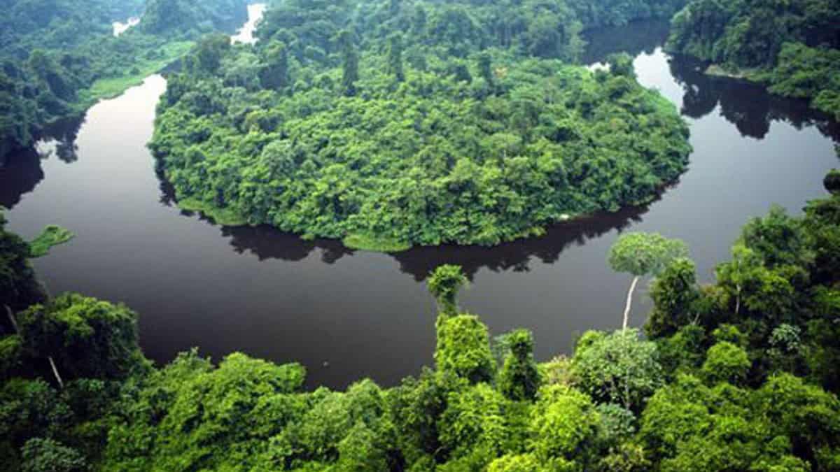 Processo seletivo Novo Mundo MT 2026 abre 130 vagas e cadastro reserva