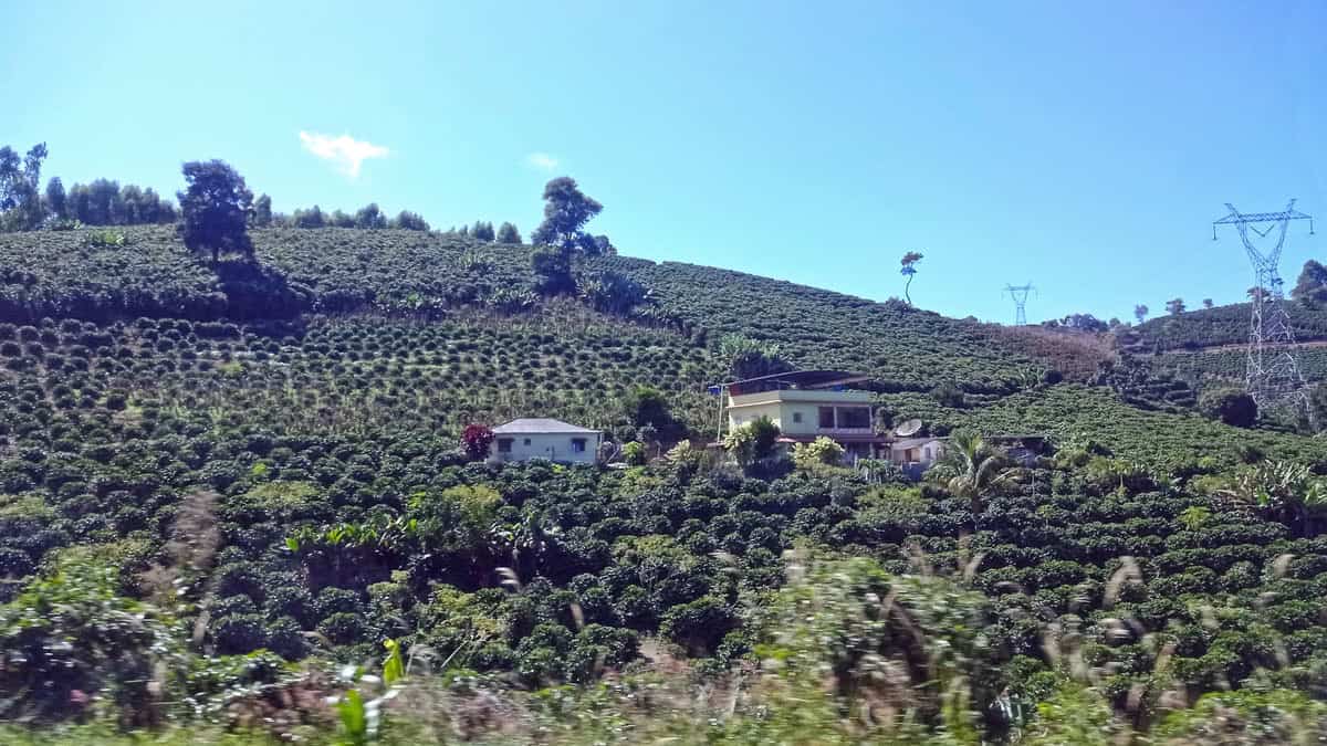 O concurso IDAF ES 2026 abre 14 vagas e paga até R$ 8,4 mil