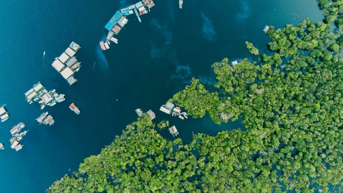 O concurso Câmara de Portel 2026 oferece 27 vagas