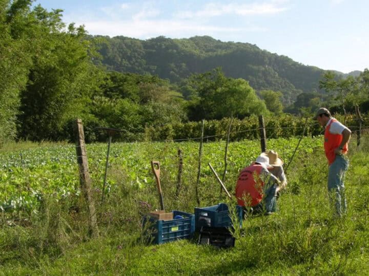 O Processo seletivo CIDEMA 2026 abre vaga ambiental com salário de R$ 6 mil
