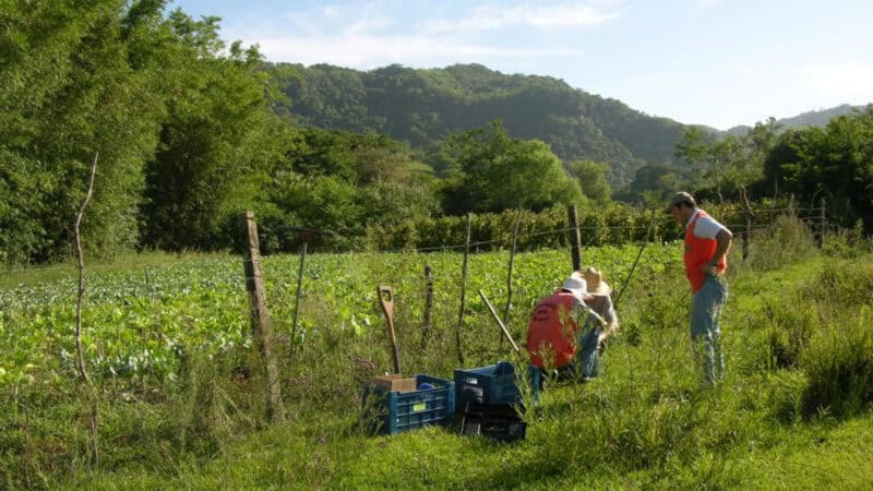 O Processo seletivo CIDEMA 2026 abre vaga ambiental com salário de R$ 6 mil